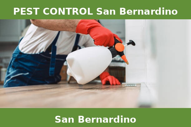 PEST CONTROL San Bernardino